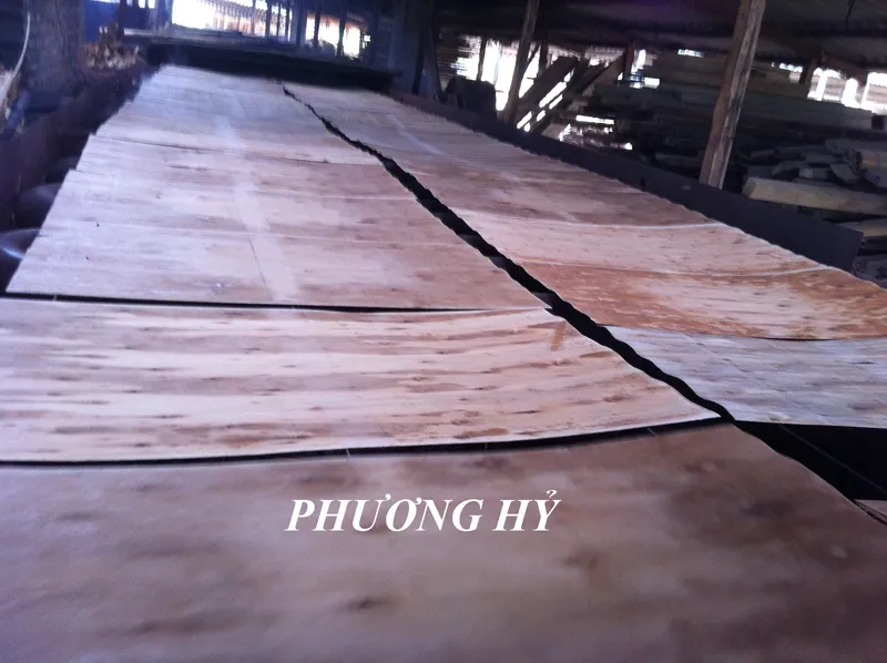 Sản phẩm 1C461DE0 BE7E 487E 8C9B 411ADEF8B8D6 — Gỗ Dán - Ván ép Phương Hỷ - Công Ty TNHH Phương Hỷ — MST 0080971709