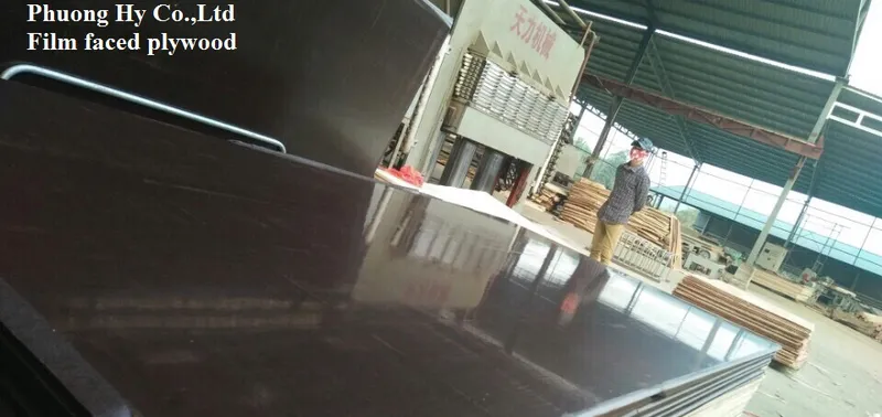 Sản phẩm 3 — Gỗ Dán - Ván ép Phương Hỷ - Công Ty TNHH Phương Hỷ — MST 0080971709