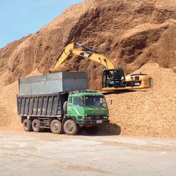 Sản phẩm XNK — Tổng Công Ty Lâm Nghiệp Việt Nam - Công Ty Cổ Phần — MST 0100102012