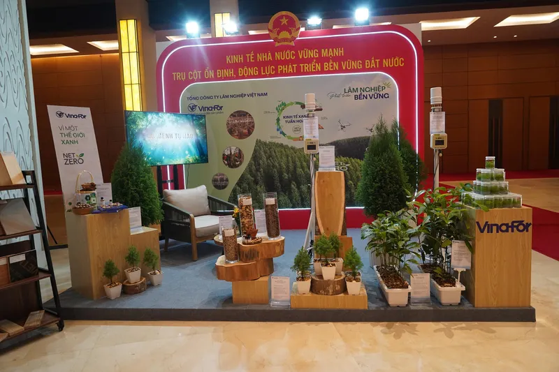 Sản phẩm 1 — Tổng Công Ty Lâm Nghiệp Việt Nam - Công Ty Cổ Phần — MST 0100102012