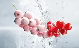 Sản phẩm Cryogenic food 260x160 — Công Ty Cổ Phần Khí Công Nghiệp Việt Nam — MST 0100103016