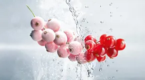 Sản phẩm Cryogenic food — Công Ty Cổ Phần Khí Công Nghiệp Việt Nam — MST 0100103016