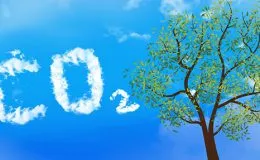 Sản phẩm Khi CO2 1 260x160 — Công Ty Cổ Phần Khí Công Nghiệp Việt Nam — MST 0100103016