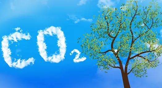 Sản phẩm Khi CO2 1 — Công Ty Cổ Phần Khí Công Nghiệp Việt Nam — MST 0100103016