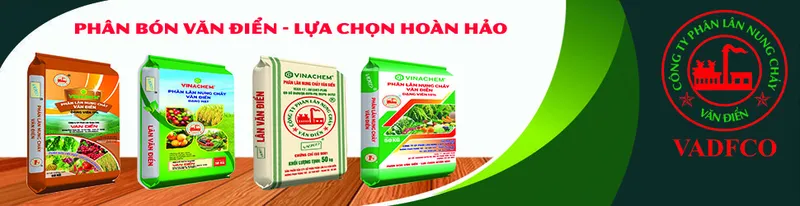 Sản phẩm Ảnh nền slide — Công Ty Cổ Phần Phân Lân Nung Chảy Văn Điển — MST 0100103143