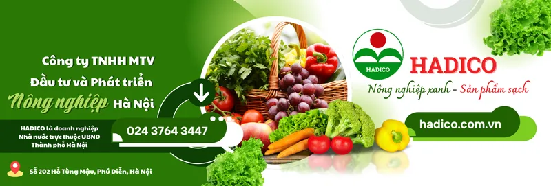 Sản phẩm cover 1 — Công Ty TNHH MTV Đầu Tư Và Phát Triển Nông Nghiệp Hà Nội — MST 0100103305