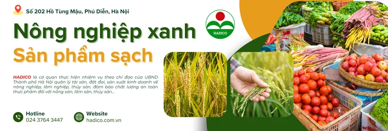Sản phẩm cover 3 — Công Ty TNHH MTV Đầu Tư Và Phát Triển Nông Nghiệp Hà Nội — MST 0100103305