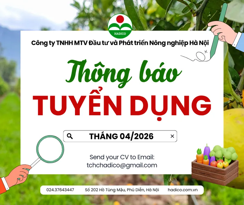 Sản phẩm Tuyen dung HADICO T4 — Công Ty TNHH MTV Đầu Tư Và Phát Triển Nông Nghiệp Hà Nội — MST 0100103305