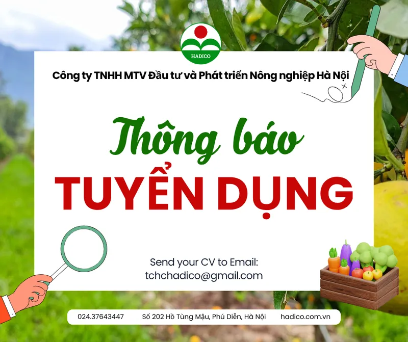 Sản phẩm Tuyen dung HADICO 1 — Công Ty TNHH MTV Đầu Tư Và Phát Triển Nông Nghiệp Hà Nội — MST 0100103305