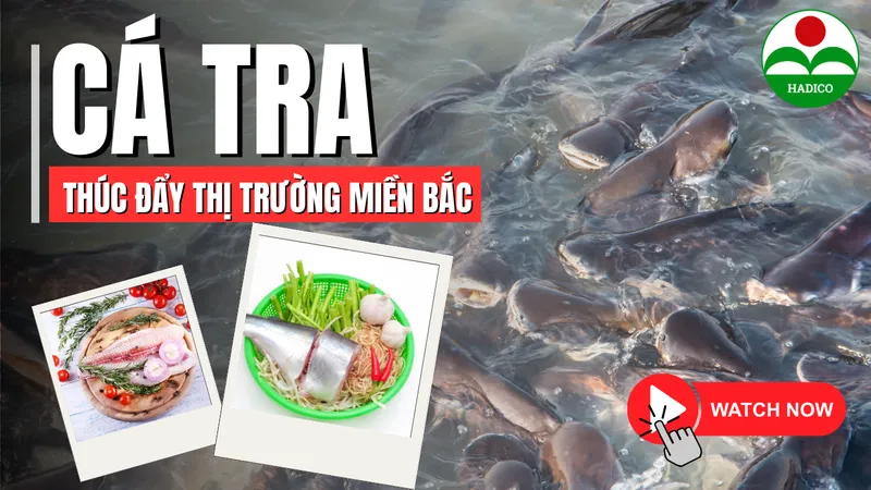 Sản phẩm 3 — Công Ty TNHH MTV Đầu Tư Và Phát Triển Nông Nghiệp Hà Nội — MST 0100103305