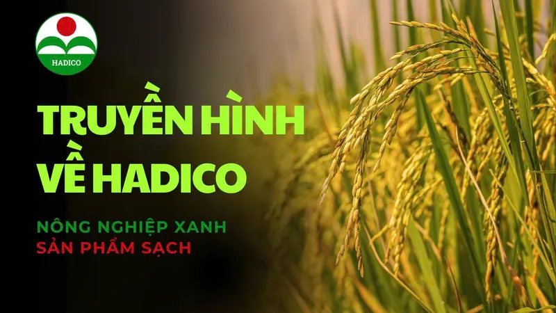 Sản phẩm 9e36908741abcaf593ba — Công Ty TNHH MTV Đầu Tư Và Phát Triển Nông Nghiệp Hà Nội — MST 0100103305