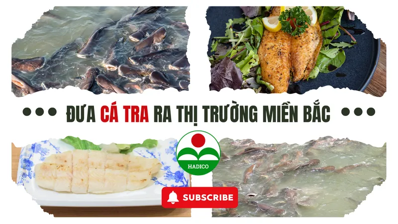 Sản phẩm hateco 1 — Công Ty TNHH MTV Đầu Tư Và Phát Triển Nông Nghiệp Hà Nội — MST 0100103305