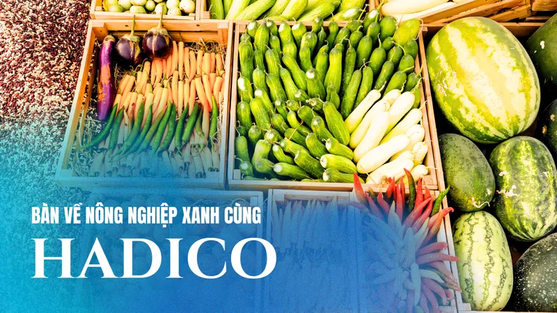 Sản phẩm hateco 2 — Công Ty TNHH MTV Đầu Tư Và Phát Triển Nông Nghiệp Hà Nội — MST 0100103305