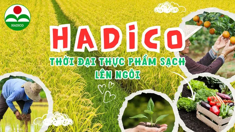 Sản phẩm z7101855272997_1407241955e9615fb95bfacb72876ee8 — Công Ty TNHH MTV Đầu Tư Và Phát Triển Nông Nghiệp Hà Nội — MST 0100103305