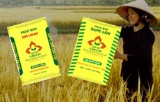 Sản phẩm lan — Công Ty Cổ Phần Vật Tư Nông Sản — MST 0100104066