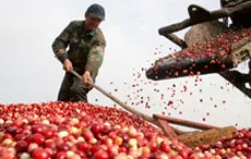 Sản phẩm nongsan — Công Ty Cổ Phần Vật Tư Nông Sản — MST 0100104066