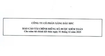 Sản phẩm BCTC_2025 363x193 — Công Ty Cổ Phần Xăng Dầu HFC — MST 0100108159
