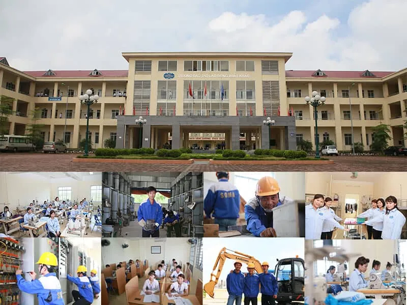 Sản phẩm truong dao tao lao dong — Công Ty Cổ Phần Cung ứng Nhân Lực Quốc Tế Và Thương Mại — MST 0100110415