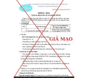 Sản phẩm GIA MAO 300x251 — Công Ty Cổ Phần Cung ứng Nhân Lực Quốc Tế Và Thương Mại — MST 0100110415