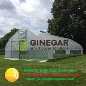 Sản phẩm Mang ginegar 300x300 — Công Ty TNHH Tưới Được Mùa — MST 0100519906