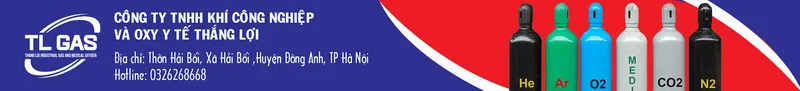 Sản phẩm thangloi1 — Khí Công Nghiệp Thắng Lợi - Công Ty TNHH Khí Công Nghiệp Và Oxy Y Tế Thắng Lợi — MST 0100766285