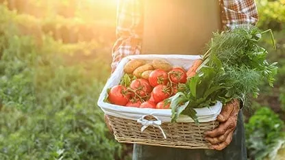 Sản phẩm tomatoes in basket_card — Công Ty TNHH Intertek Việt Nam — MST 0100773892