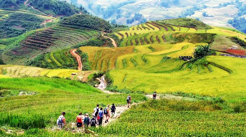 Sản phẩm sapa trekking 11 1 — Công Ty TNHH Đôi Cánh á Châu — MST 0100777008