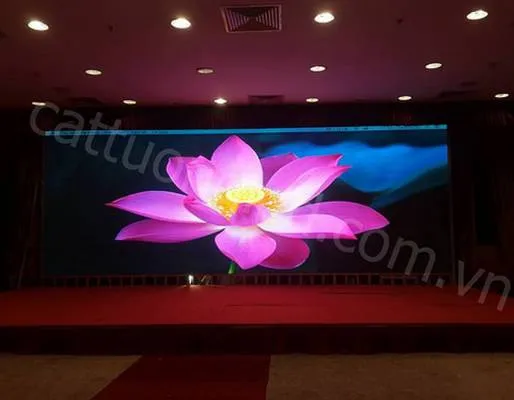 Sản phẩm 272197870707f53088246 5433 — Công Ty Cổ Phần Thương Mại Và Dịch Vụ Cát Tường — MST 0100778788