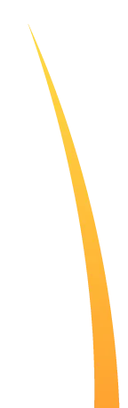 Sản phẩm leaves right left 1 — Công Ty TNHH Thanh An — MST 0100819096