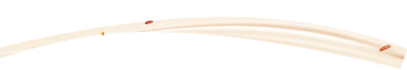 Sản phẩm milk — Công Ty TNHH Thanh An — MST 0100819096