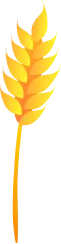 Sản phẩm rice flower 3 — Công Ty TNHH Thanh An — MST 0100819096