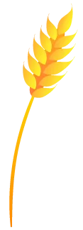 Sản phẩm rice flower — Công Ty TNHH Thanh An — MST 0100819096