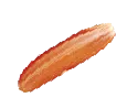 Sản phẩm seed 10 — Công Ty TNHH Thanh An — MST 0100819096