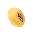 Sản phẩm seed 14 — Công Ty TNHH Thanh An — MST 0100819096