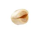 Sản phẩm seed 16 — Công Ty TNHH Thanh An — MST 0100819096