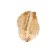 Sản phẩm seed 24 — Công Ty TNHH Thanh An — MST 0100819096