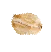 Sản phẩm seed 26 — Công Ty TNHH Thanh An — MST 0100819096