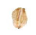 Sản phẩm seed 27 — Công Ty TNHH Thanh An — MST 0100819096