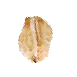 Sản phẩm seed 3 — Công Ty TNHH Thanh An — MST 0100819096
