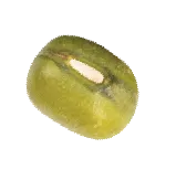 Sản phẩm seed 30 — Công Ty TNHH Thanh An — MST 0100819096