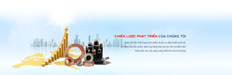 Sản phẩm 04 — Dây Cáp Điện Duy Tân - Công Ty TNHH Vật Liệu Điện Duy Tân — MST 0100828598