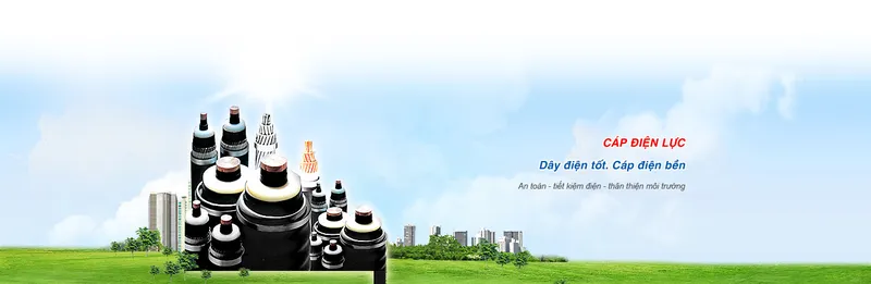 Sản phẩm 06 — Dây Cáp Điện Duy Tân - Công Ty TNHH Vật Liệu Điện Duy Tân — MST 0100828598