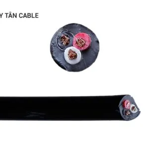 Sản phẩm chuan11 300x300 — Dây Cáp Điện Duy Tân - Công Ty TNHH Vật Liệu Điện Duy Tân — MST 0100828598
