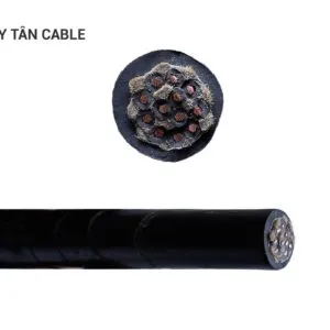 Sản phẩm chuan13 300x300 — Dây Cáp Điện Duy Tân - Công Ty TNHH Vật Liệu Điện Duy Tân — MST 0100828598