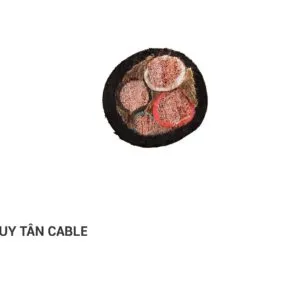 Sản phẩm chuan21 300x300 — Dây Cáp Điện Duy Tân - Công Ty TNHH Vật Liệu Điện Duy Tân — MST 0100828598