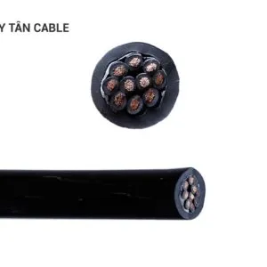 Sản phẩm chuan13 300x300 — Dây Cáp Điện Duy Tân - Công Ty TNHH Vật Liệu Điện Duy Tân — MST 0100828598