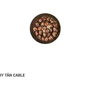 Sản phẩm chuan11 300x300 — Dây Cáp Điện Duy Tân - Công Ty TNHH Vật Liệu Điện Duy Tân — MST 0100828598