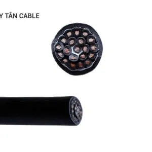 Sản phẩm chuan13 300x300 — Dây Cáp Điện Duy Tân - Công Ty TNHH Vật Liệu Điện Duy Tân — MST 0100828598