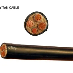 Sản phẩm chuan14 300x300 — Dây Cáp Điện Duy Tân - Công Ty TNHH Vật Liệu Điện Duy Tân — MST 0100828598