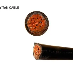 Sản phẩm chuan16 300x300 — Dây Cáp Điện Duy Tân - Công Ty TNHH Vật Liệu Điện Duy Tân — MST 0100828598